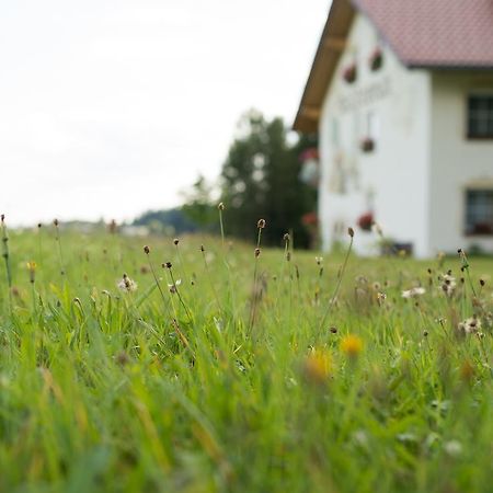 Pension Waldesruh Hotel Sankt Oswald-Riedlhuette Eksteriør billede